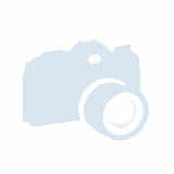 Business single with south view, king bed, private facilities, and breakfast